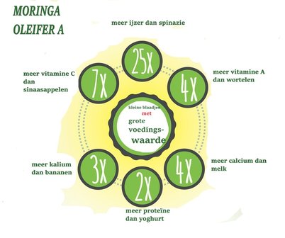 MORINGA - KAMILLE - JASMIJN