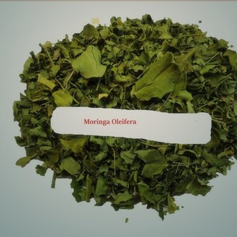 Moringa Oleifera